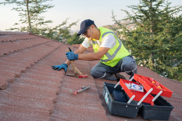 Roof Installation Near Me in Benavides, TX