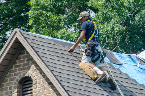 Best Roof Gutter Cleaning  in Benavides, TX